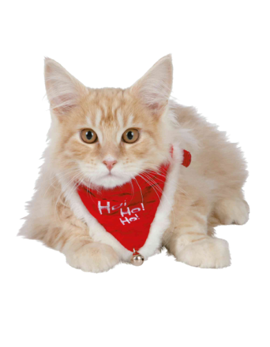 Trixie Collar with Neckerchief for Pets M image 2