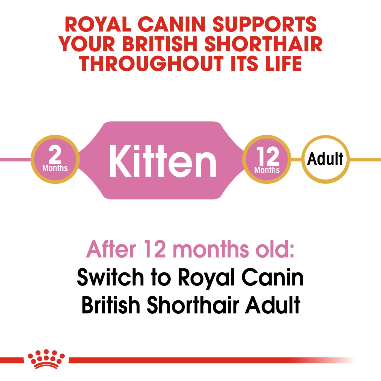 Royal Canin Cat 400g Kitten British Shorthair Dry Cat Food image 2