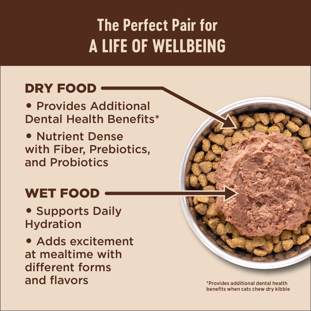 Wellness CORE Cat 4.9kg (11lb) Digestive Health with Wholesome Grains Salmon Recipe Dry Cat Food image 3