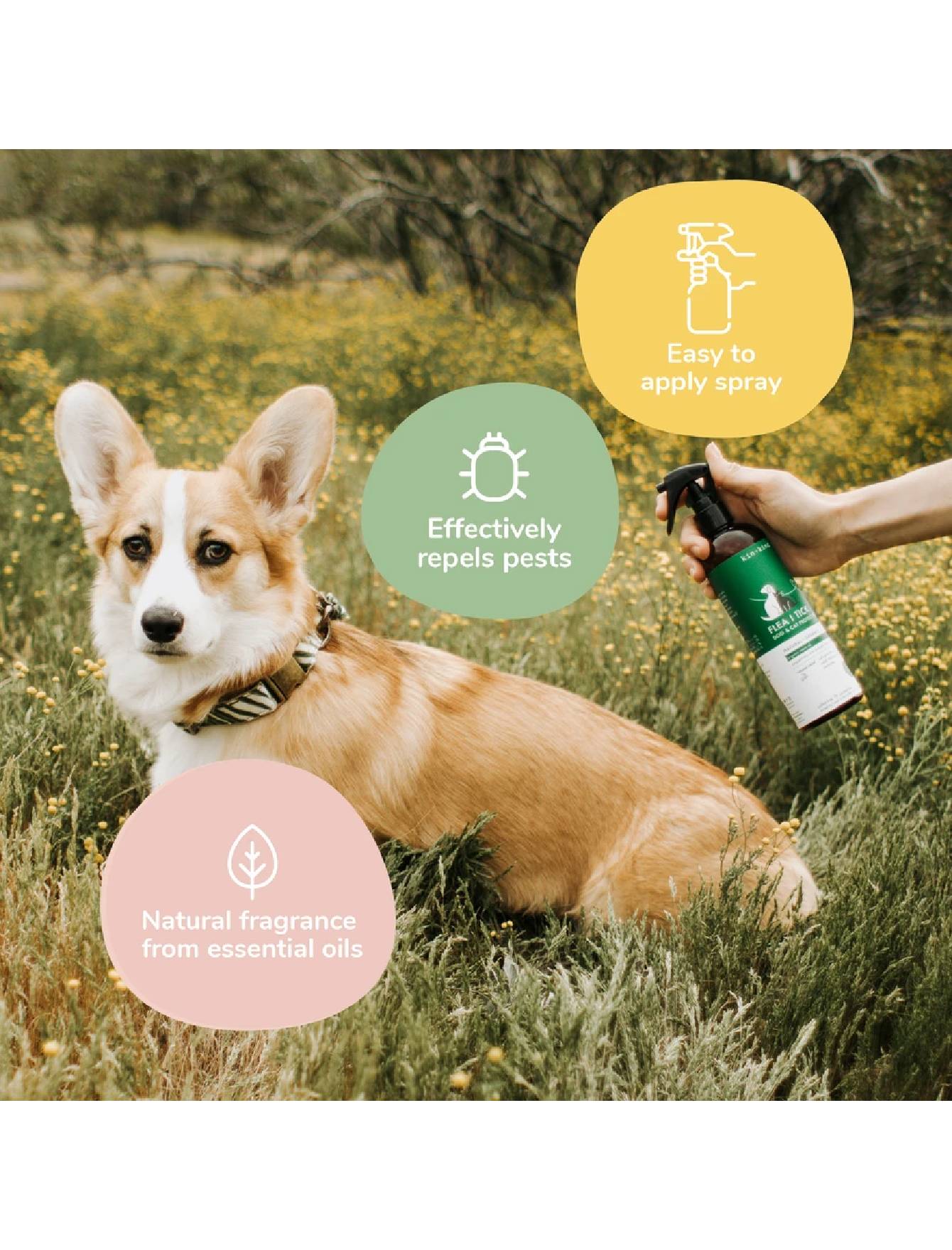 Kin+Kind 354ml Flea & Tick Lavender Spray for Dogs image 4