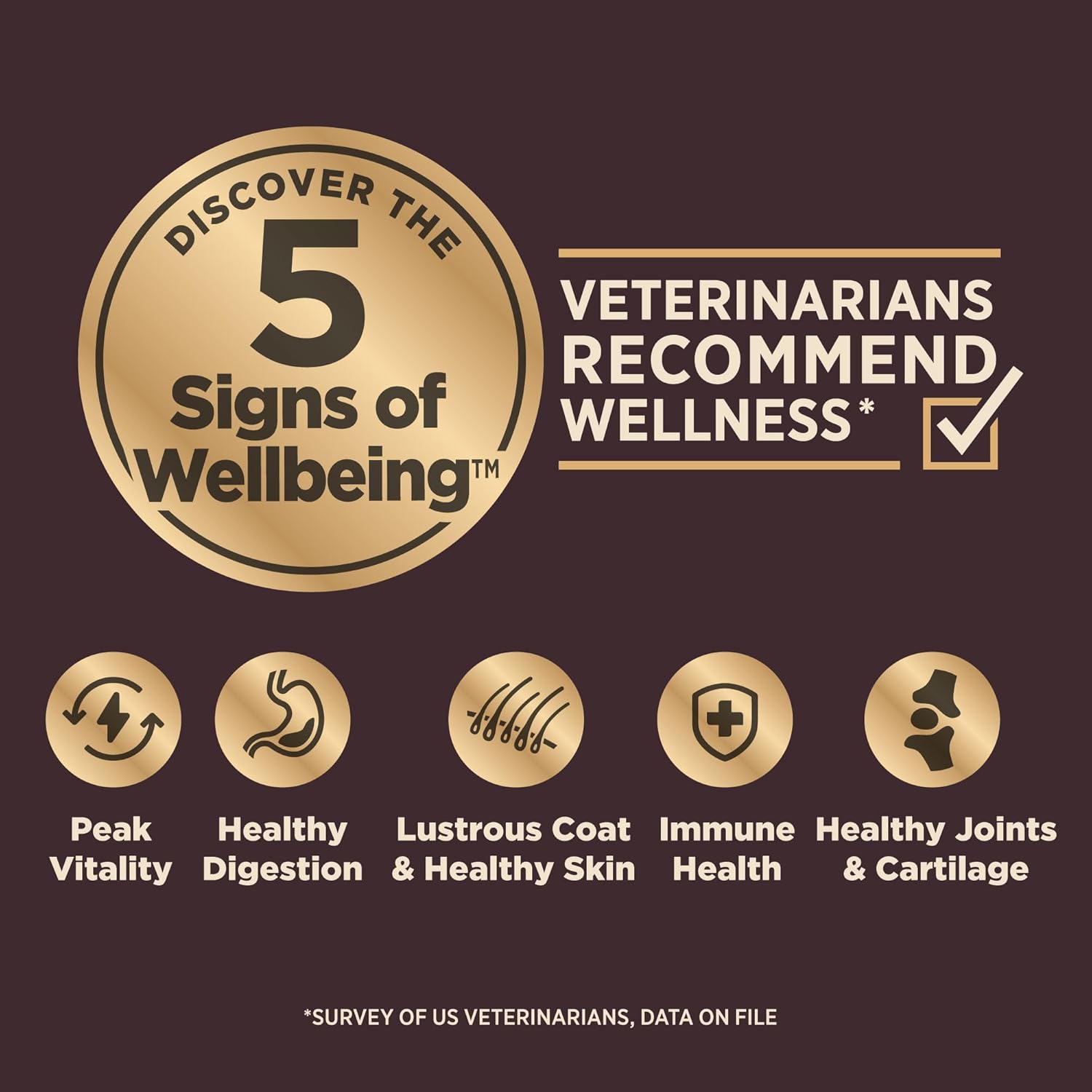 Wellness CORE+ (Formerly RawRev) Dog 1.8kg (4lb) Small Breed Original Turkey Grain Free Dry Dog Food image 3