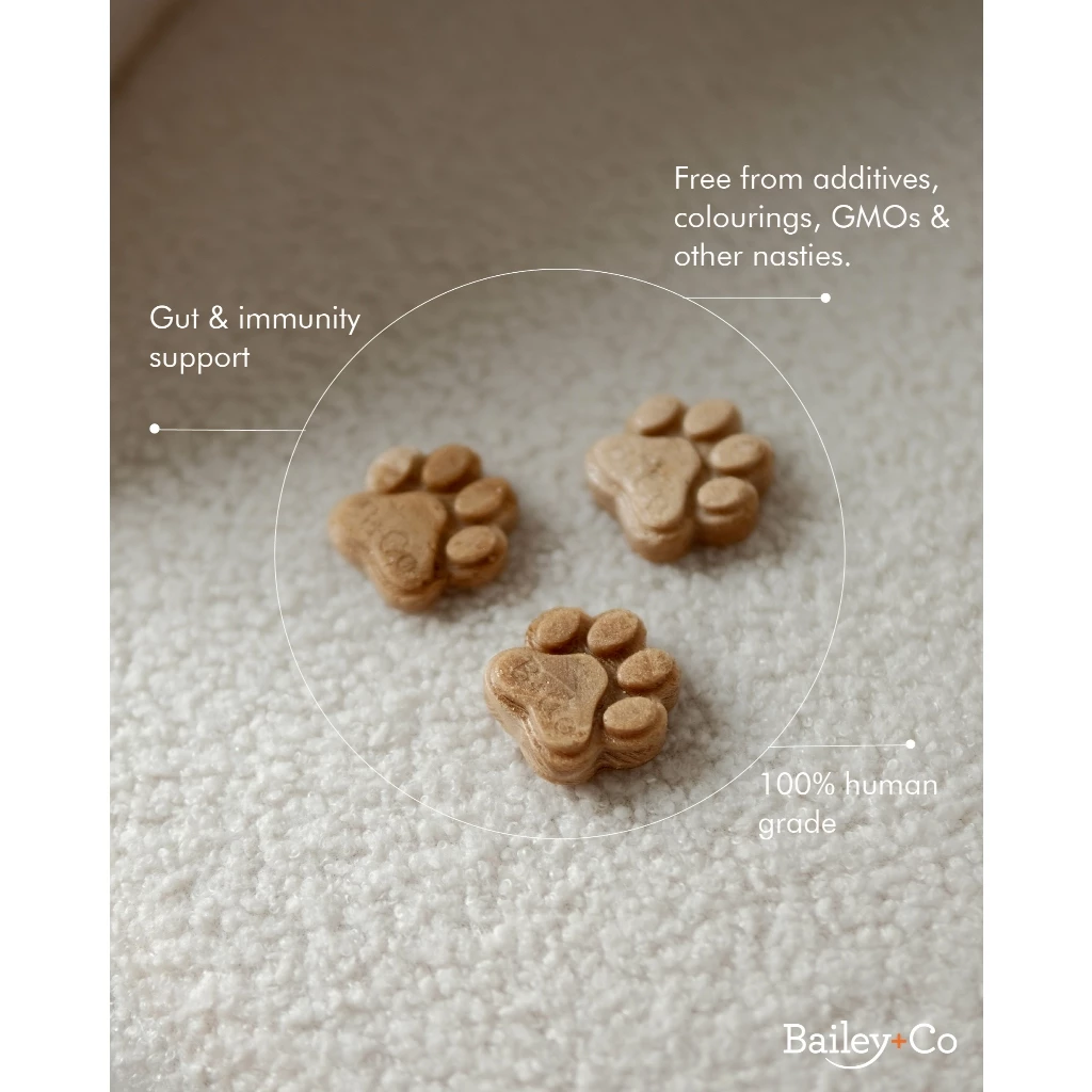 Bailey+Co 65g Dissolvable Gut & Immunity Support Original Bone Broth for Dogs & Cats image 4