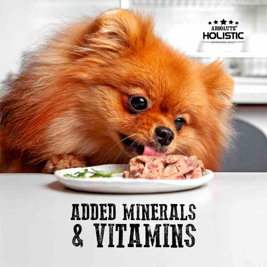 Absolute Holistic Dog 100g Complete & Balanced Meaty Loaf Salmon Wet Tray Dog Food (EXP: 06 Mar 2027) image 4