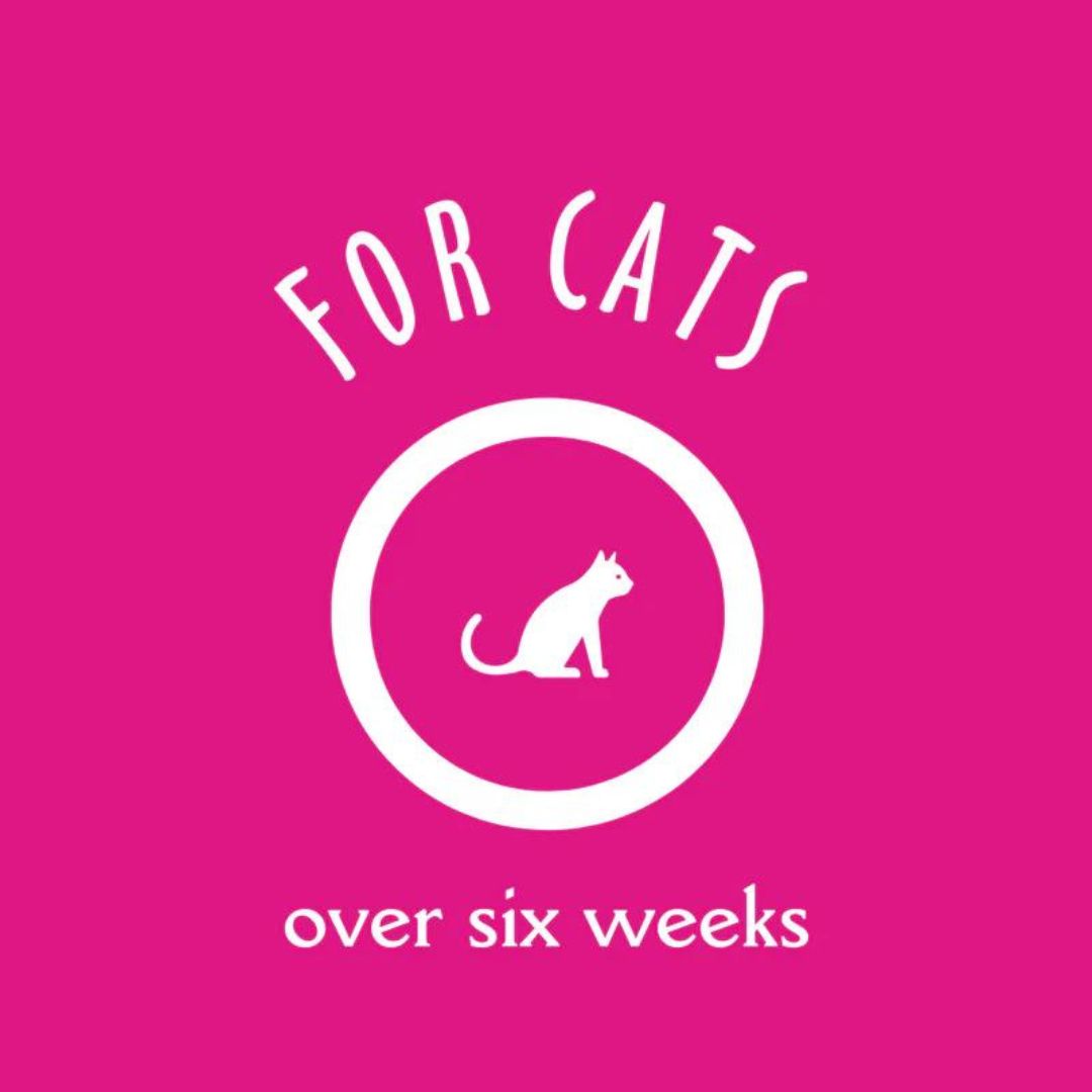 Earthbath 16oz Cat 2in1 Conditioning Light Wild Cherry Cat Shampoo (472ml) image 3