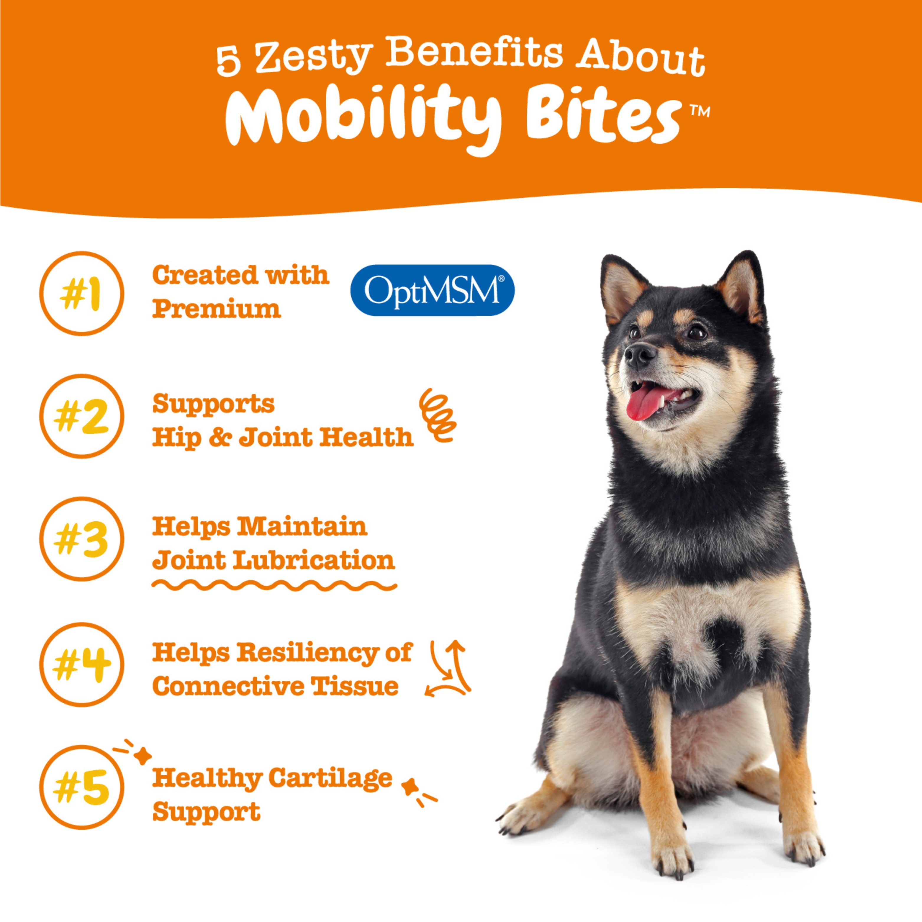 Zesty Paws 90ct Mobility Bites Duck Flavour Hip & Joint Supplement for Dogs image 3