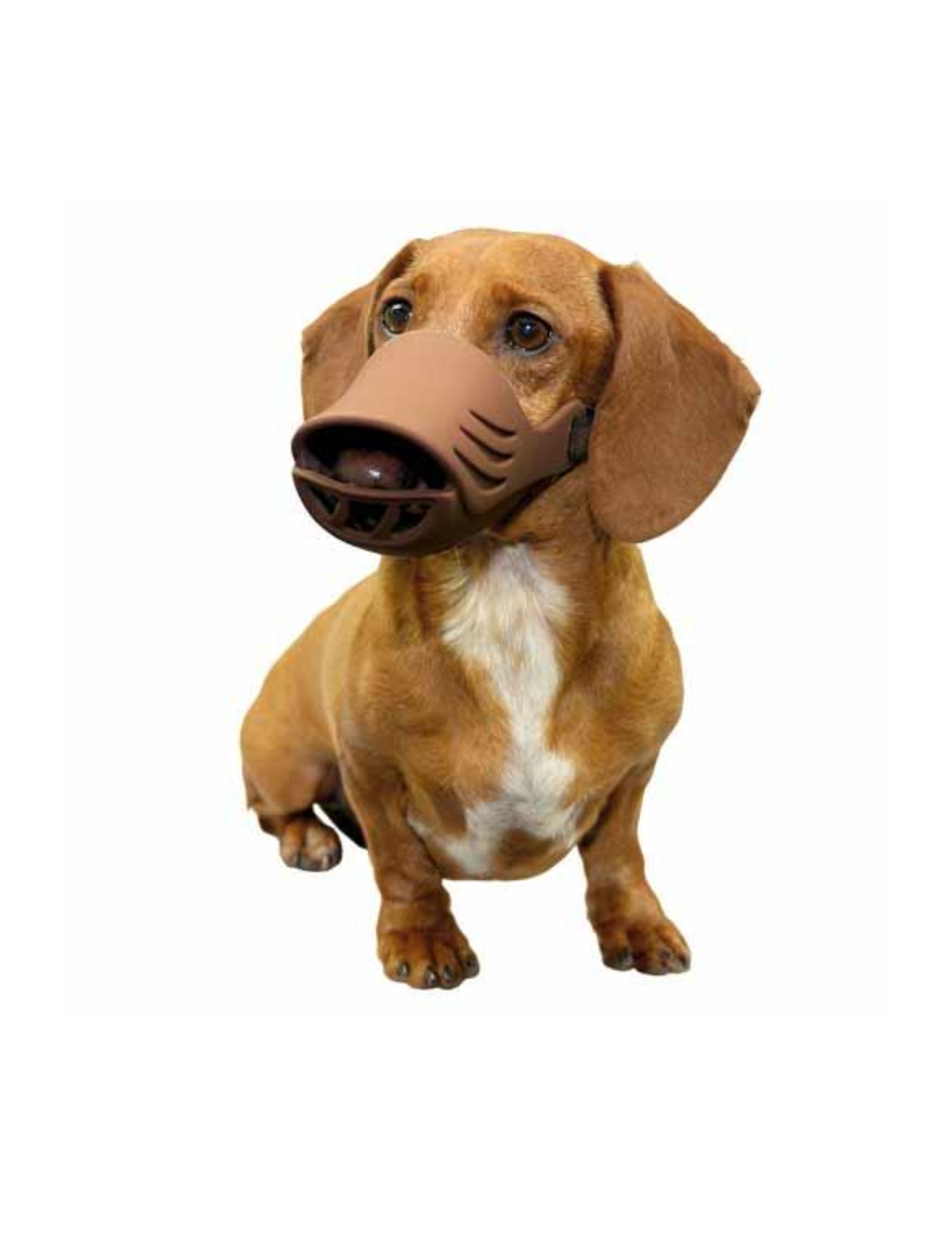 Artero Silicone Dog Muzzle Coffee Small image 2