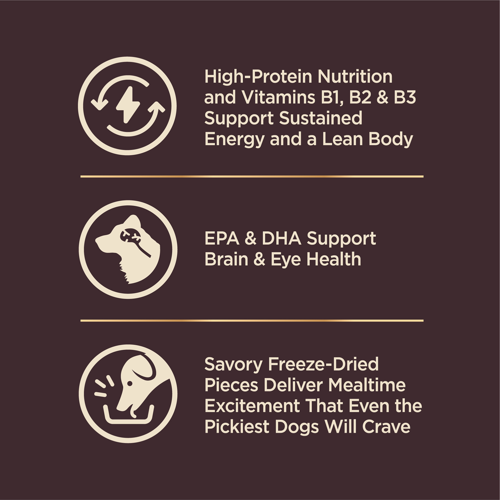 Wellness CORE+ (Formerly RawRev) Dog 1.8kg (4lb) Puppy with Freeze Dried Turkey Grain Free Dry Dog Food image 3