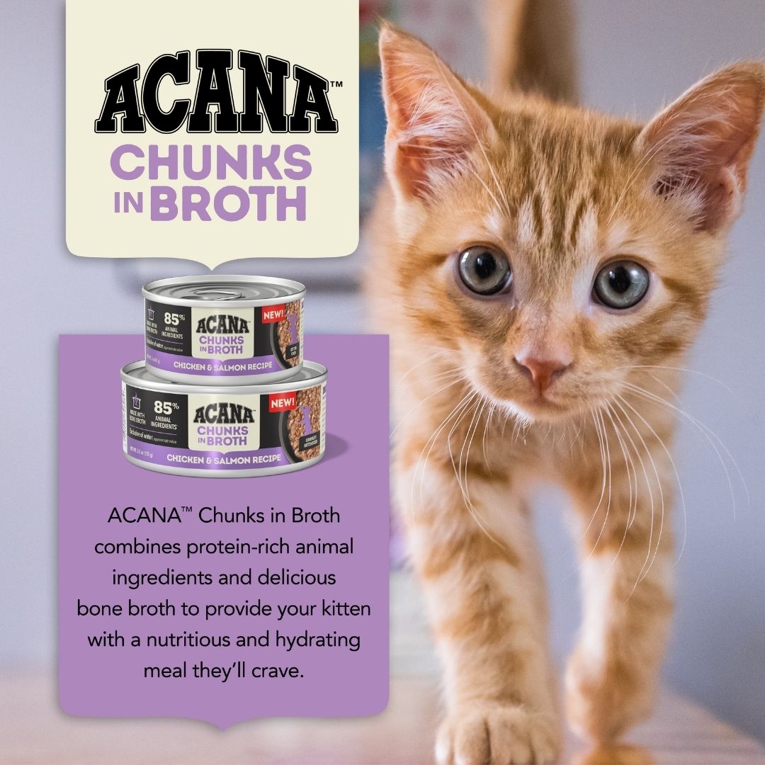 Acana Cat 155g Chunks In Broth Kitten Chicken & Salmon Recipe Wet Cat Food image 3