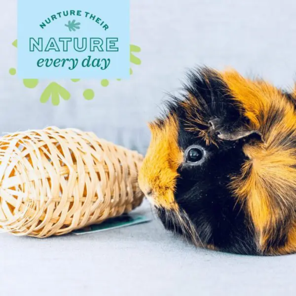 Oxbow Enriched Life Maraca Chew for Rabbits image 6