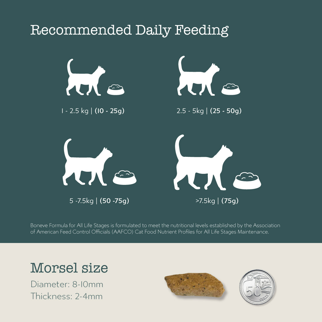 Boneve Earthmade Cat 280g Freeze Dried Raw Prey Mackerel Lamb Dry Cat Food image 9