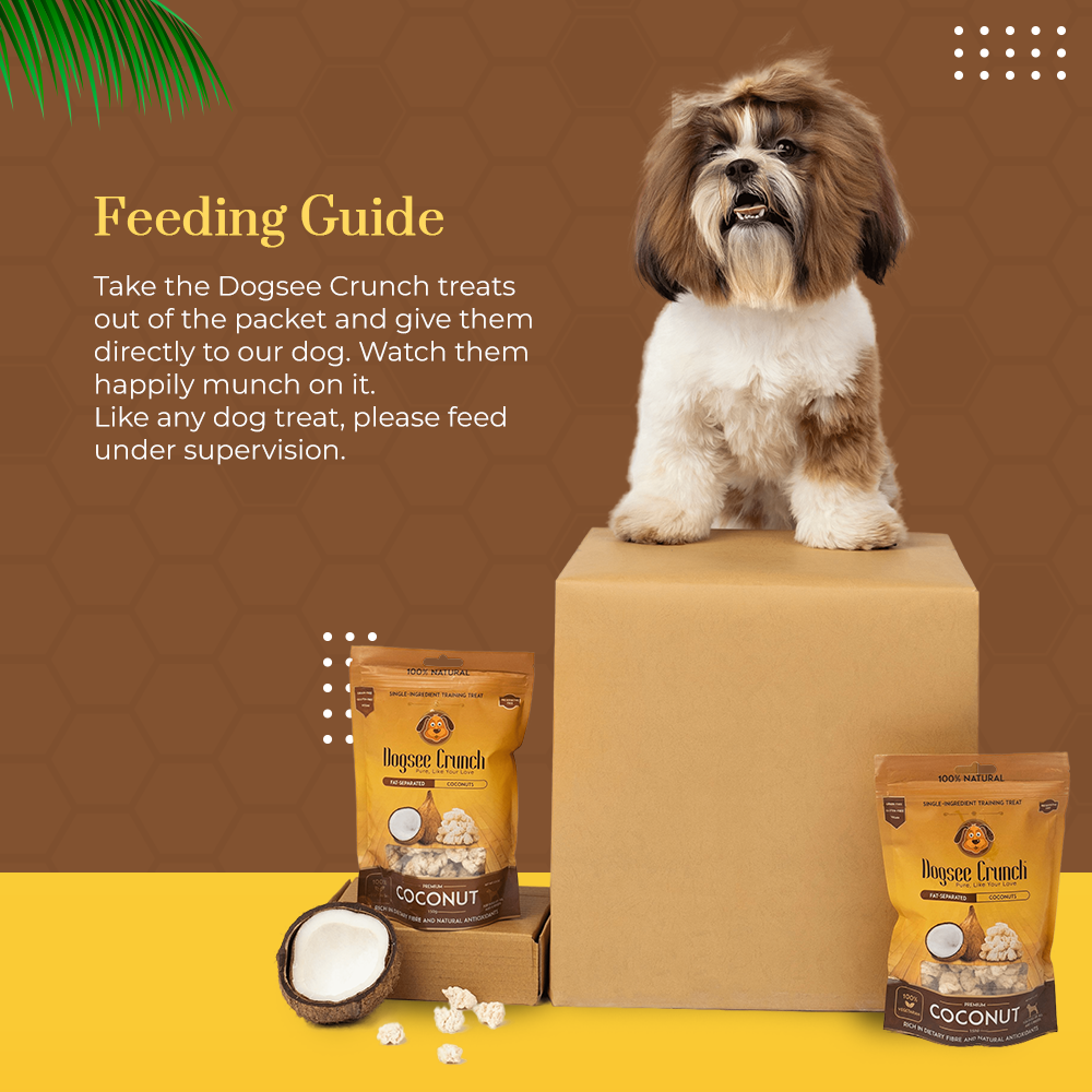Dogsee Crunch Freeze Dried Coconut 50g Dog Treats image 4
