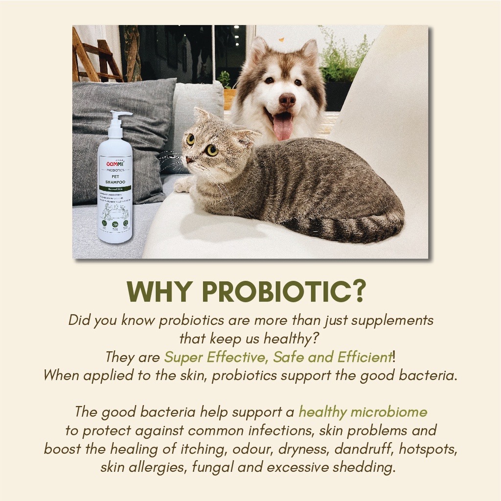 OOMMI 500ml Probiotics Pet Shampoo for Normal Skin image 5
