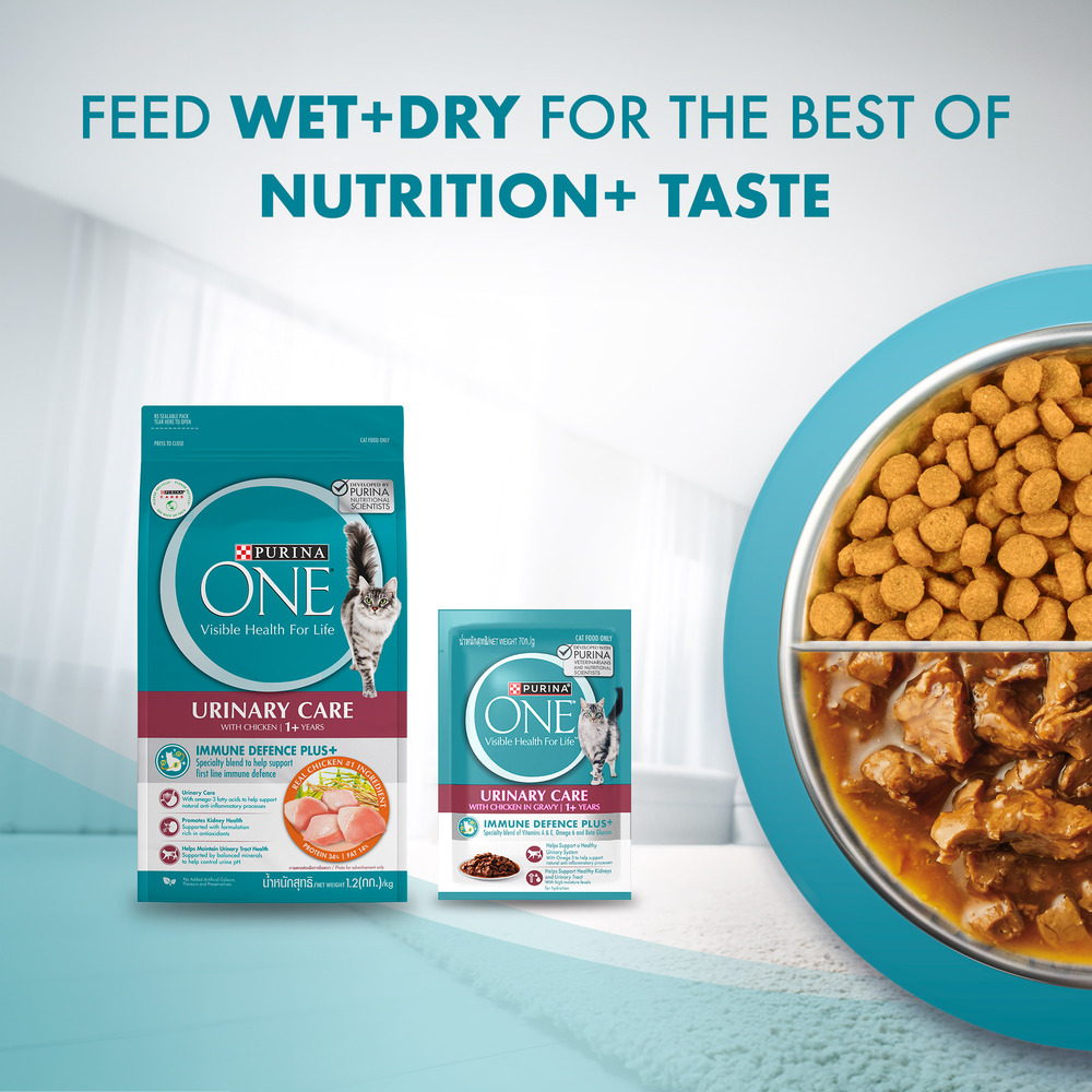 PURINA ONE Cat 1.2kg Urinary Care Chicken Dry Cat Food image 11