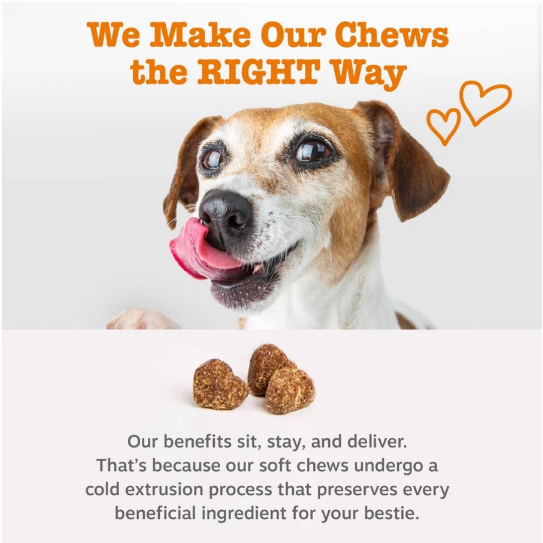 Zesty Paws 90ct Turmeric Curcumin Bites Bacon Supplement For Dog image 4