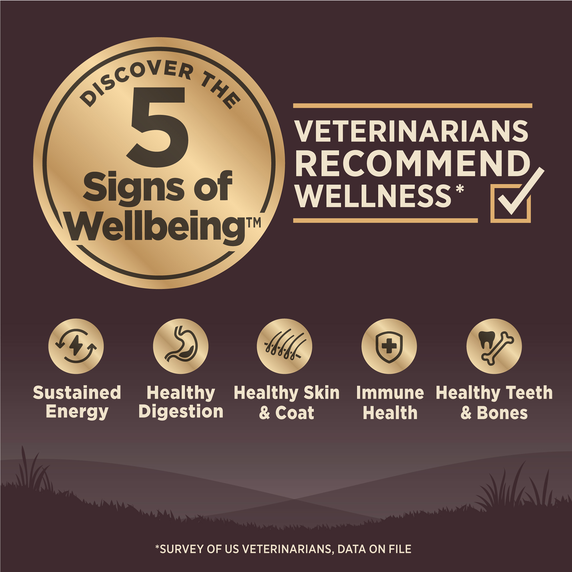 Wellness CORE Dog 1.8kg (4lb) Senior Grain Free Dry Dog Food image 3