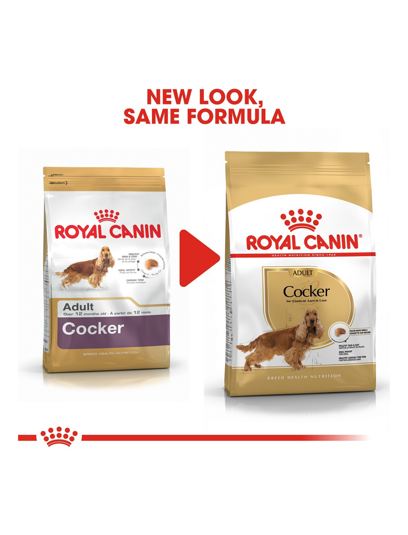 Royal Canin Dog 3kg Adult Cocker Spaniel Dry Dog Food image 3