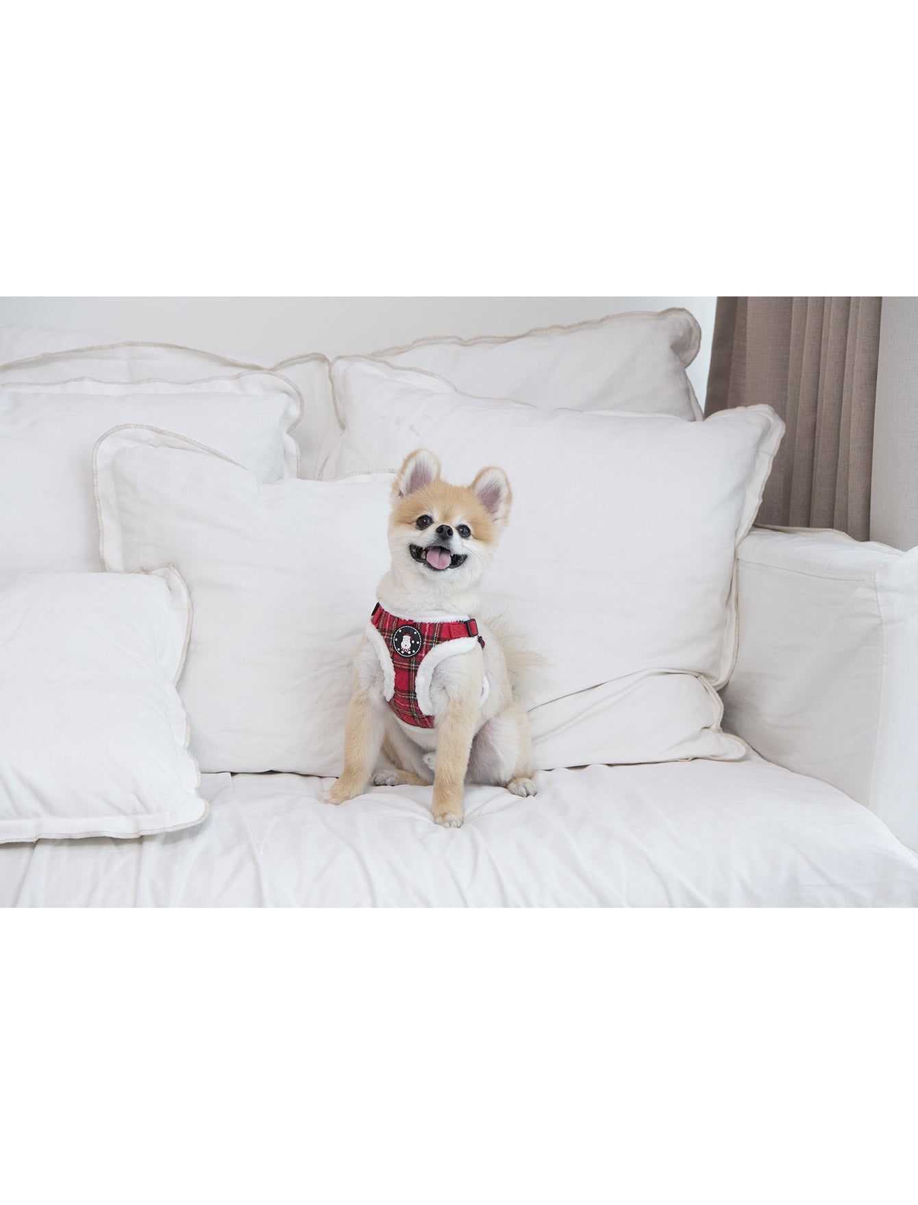Puppia Blitzen Red Christmas X- Harness for Dogs Medium image 4