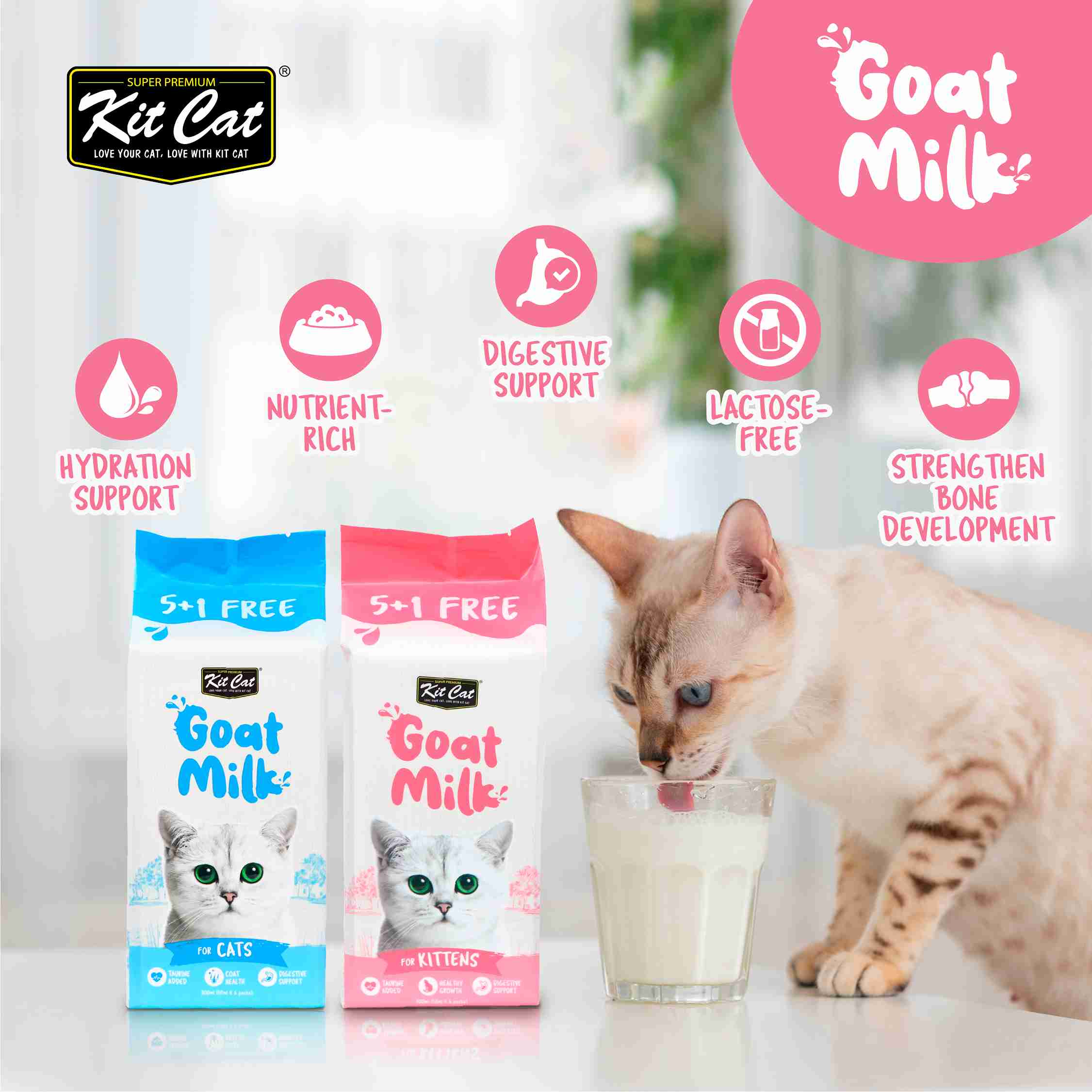 Kit Cat 50ml*6 Lactose-Free Goat Milk Pouches for Kittens image 2