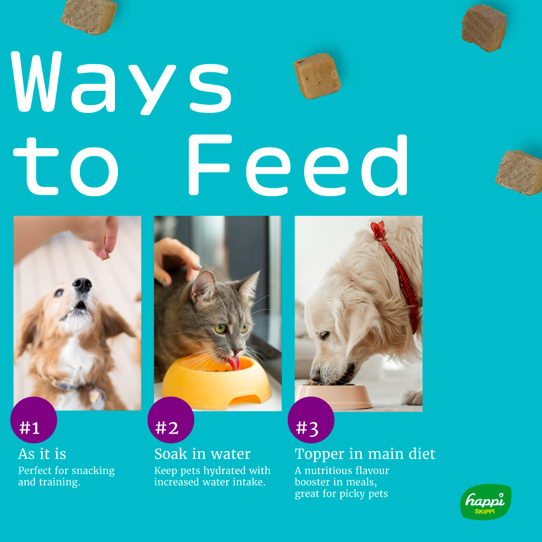 Happi Skippi 10g Just Freeze-dried Treat Chicken & Pumpkin for Cats and Dogs image 5