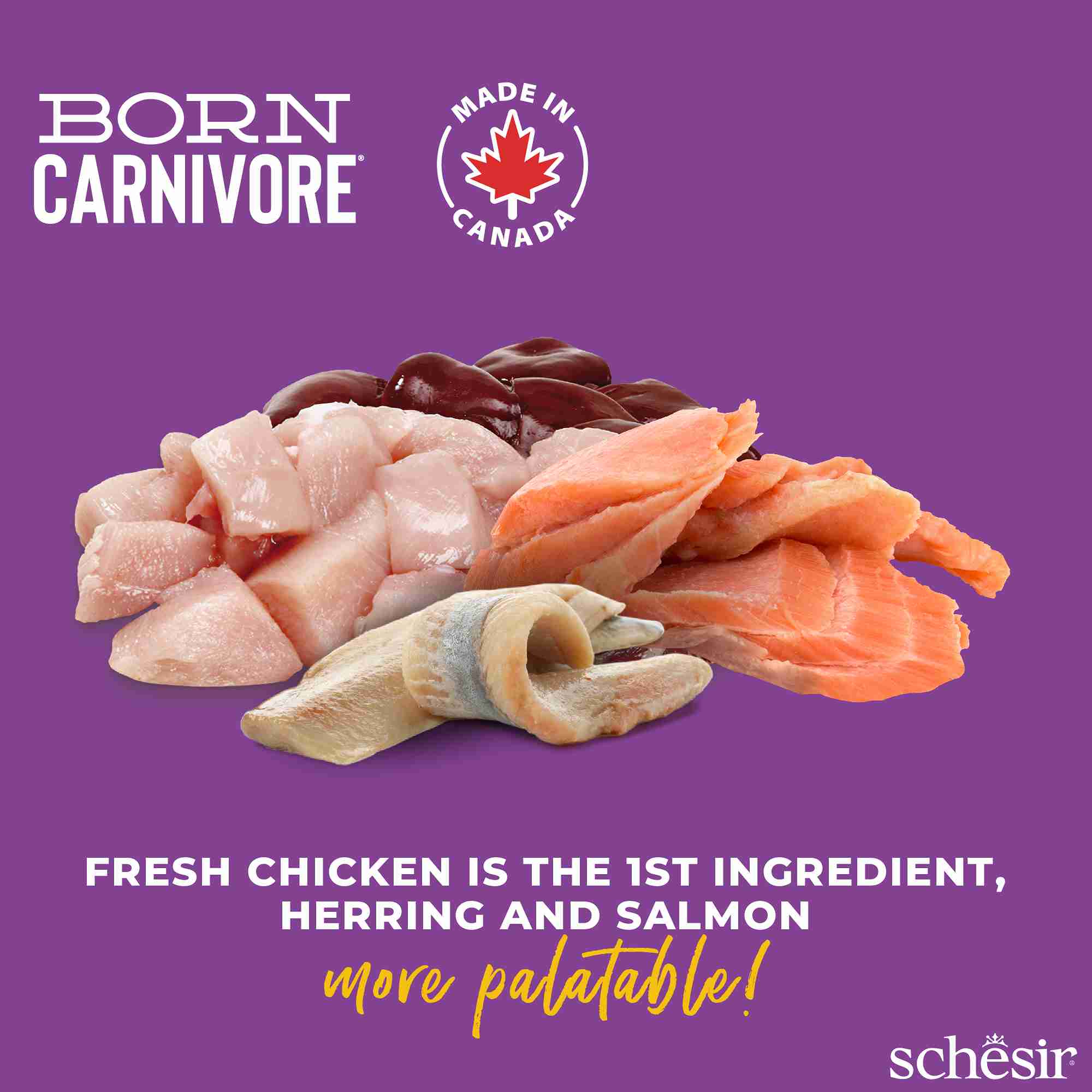 Schesir Cat 2.5kg Born Carnivore Chicken with Herring & Salmon Baked Dry Recipe Dry Cat Food image 7