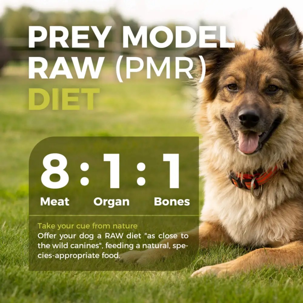 Furry Wonder Dog 453g (16oz) SENSITIVE DIGESTION Freeze-dried Raw Lamb & Chicken Recipe For Dogs image 7