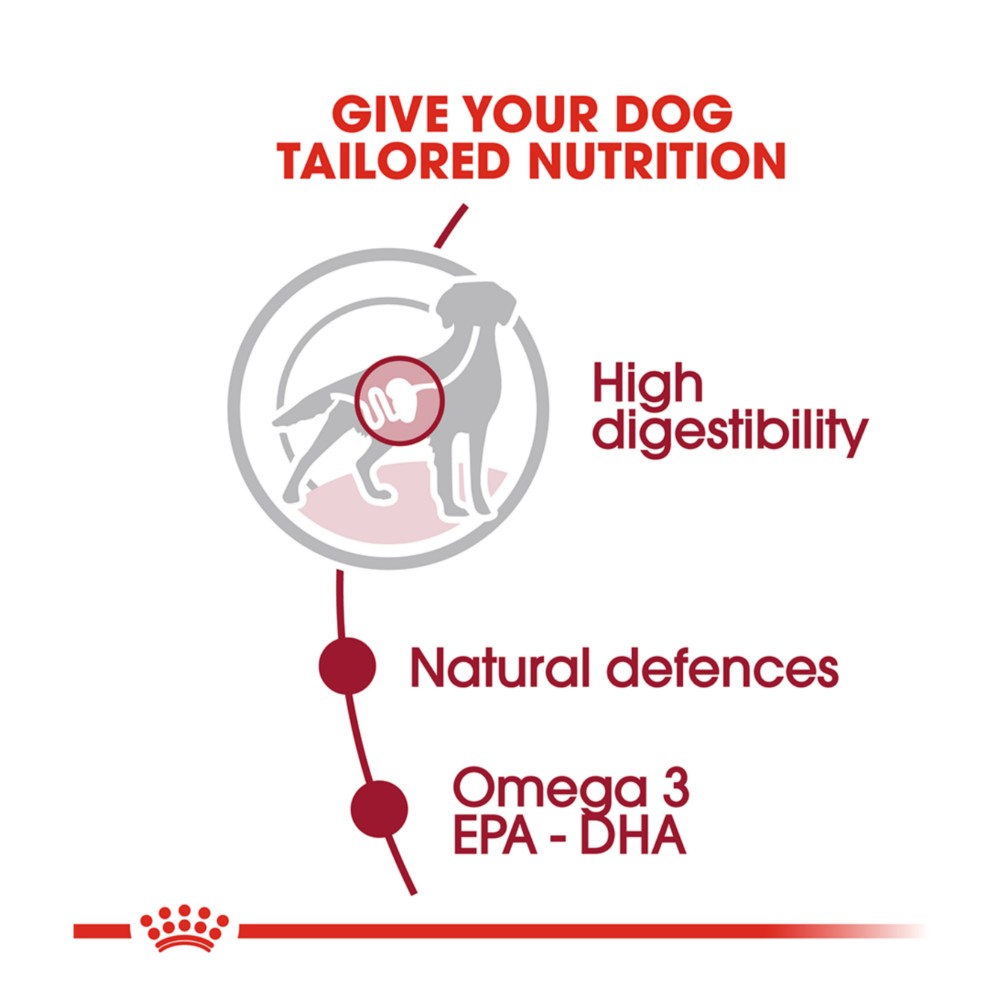 Royal Canin Dog 10kg Medium Adult Dry Dog Food image 3
