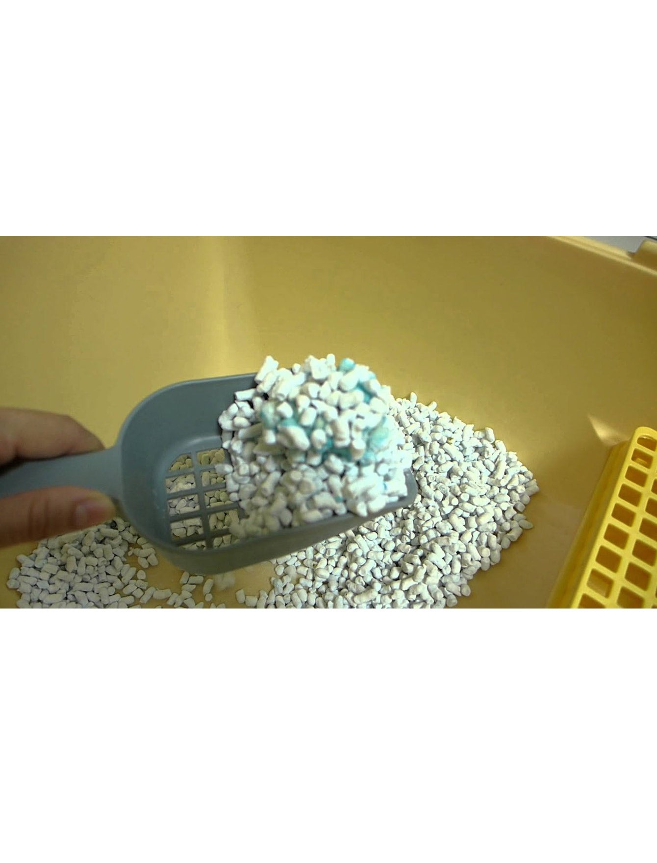 QQ Kit Recyclable Paper Cat Litter Turns Blue 7L image 3