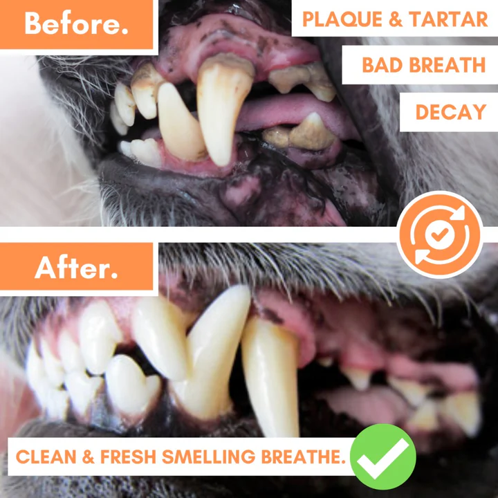 Dogslife Silicone Finger Toothbrushes 5 Finger Brushes image 6