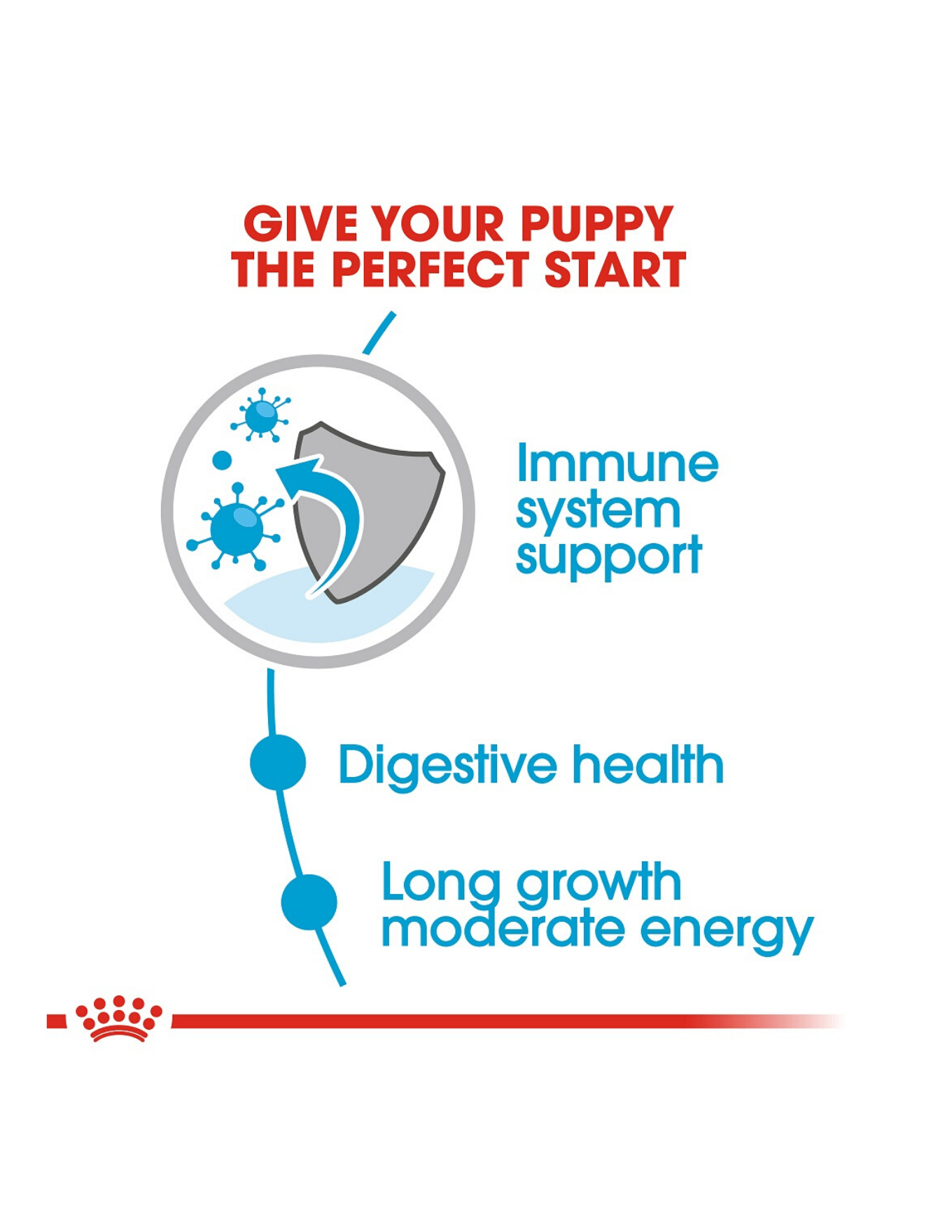 Royal Canin Dog Pouch 140g Maxi Puppy Wet Dog Food image 3