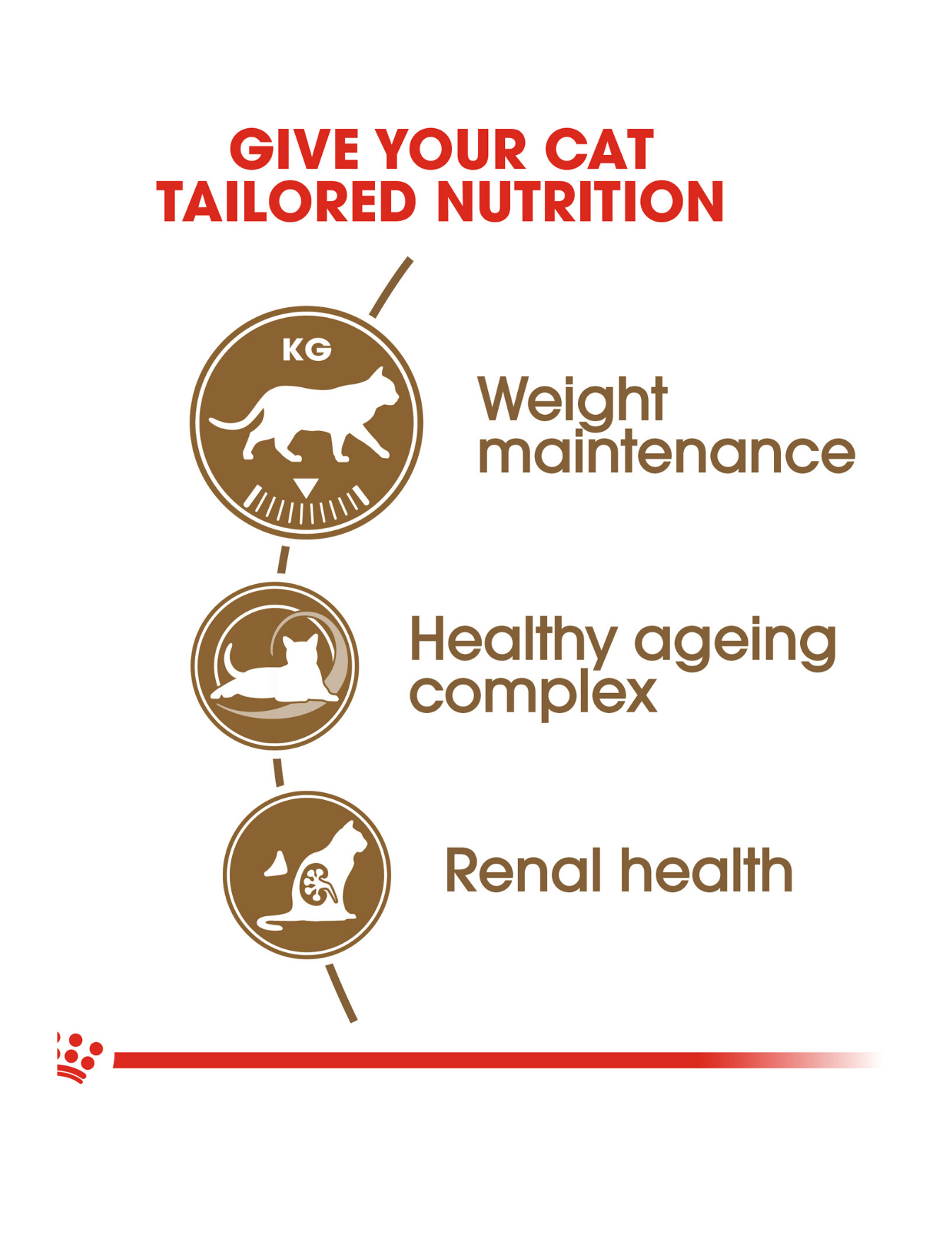 Royal Canin Cat 2kg Senior Sterilised Ageing 12+ Dry Cat Food image 3