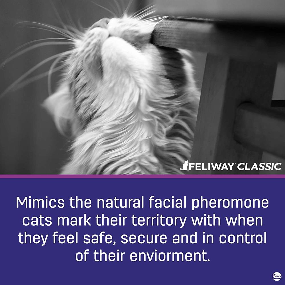 Feliway Classic 60ml Spray Bottle for Cats image 2