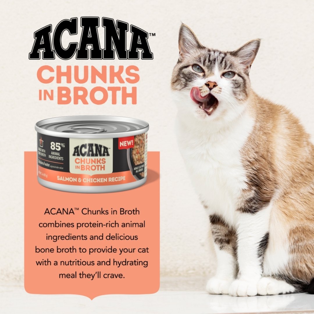 Acana Cat 155g Chunks In Broth Salmon & Chicken Recipe Wet Cat Food image 2