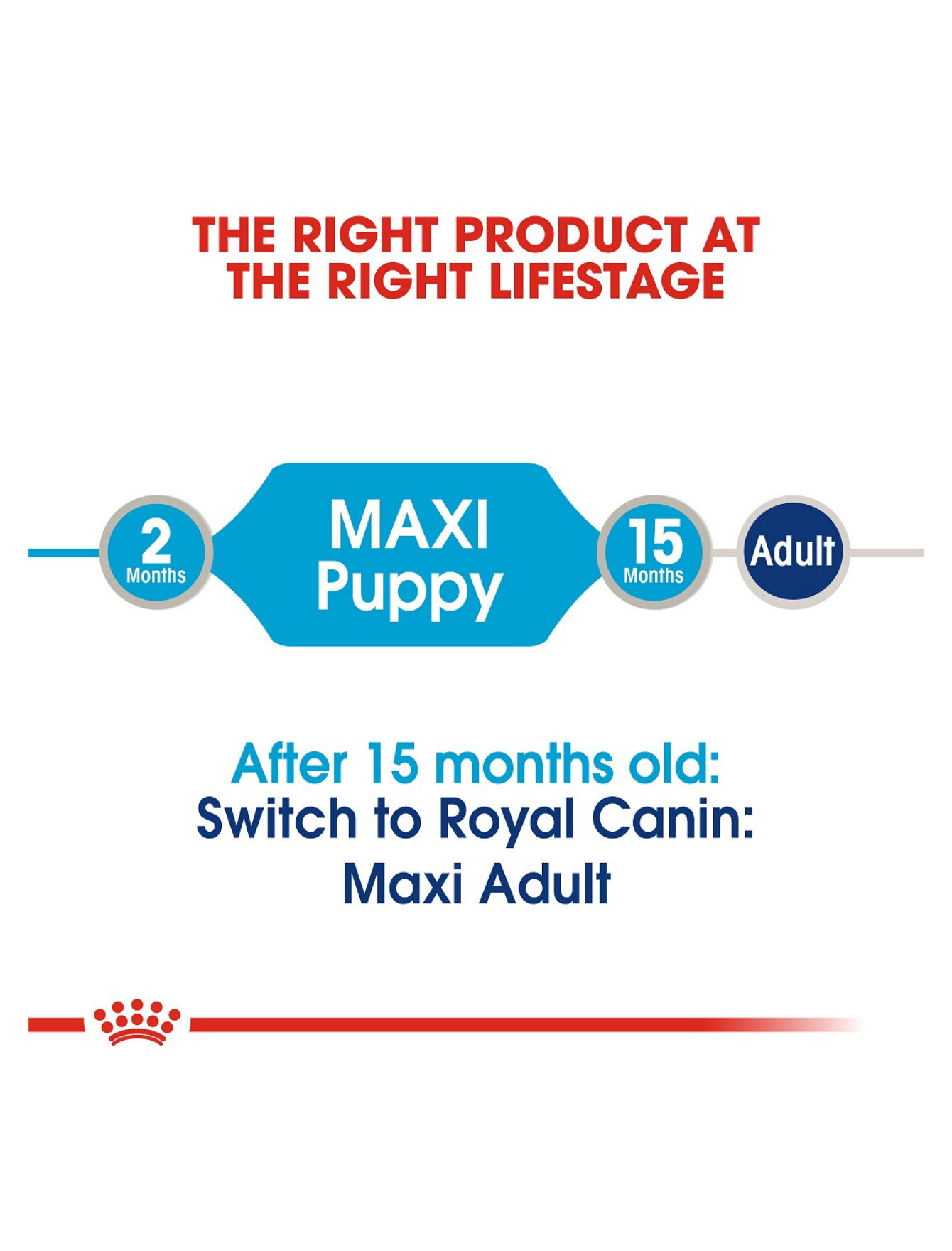 Royal Canin Dog Pouch 140g Maxi Puppy Wet Dog Food image 4