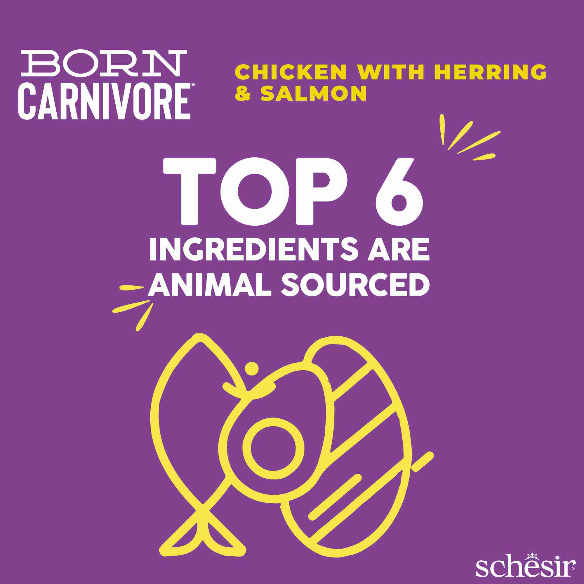 Schesir Cat 2.5kg Born Carnivore Chicken with Herring & Salmon Baked Dry Recipe Dry Cat Food image 3
