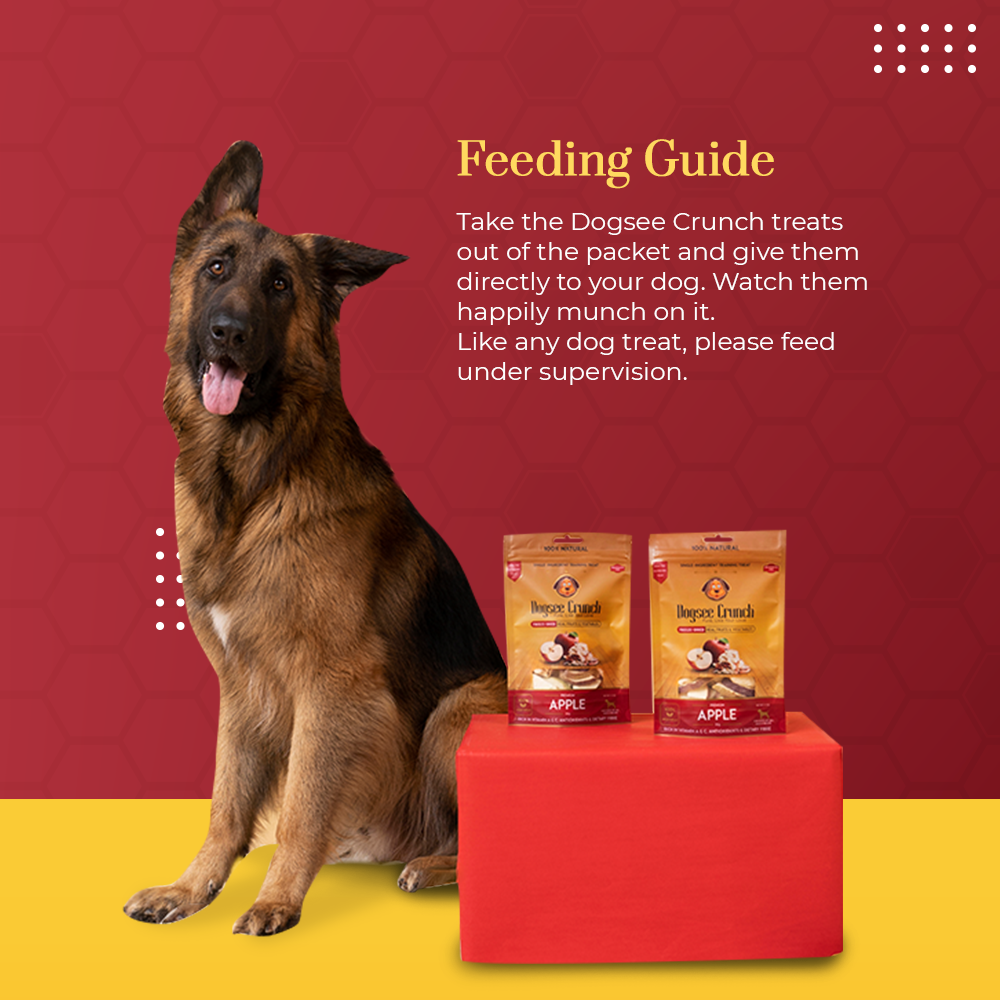 Dogsee Crunch Freeze Dried Apple 10g Dog Treats image 2