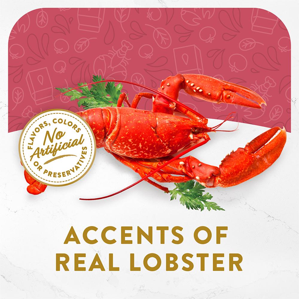 Fancy Feast Cat 40g Seafood Bisque Broth And Accents Of Real Lobster Pouch Wet Cat Food image 4