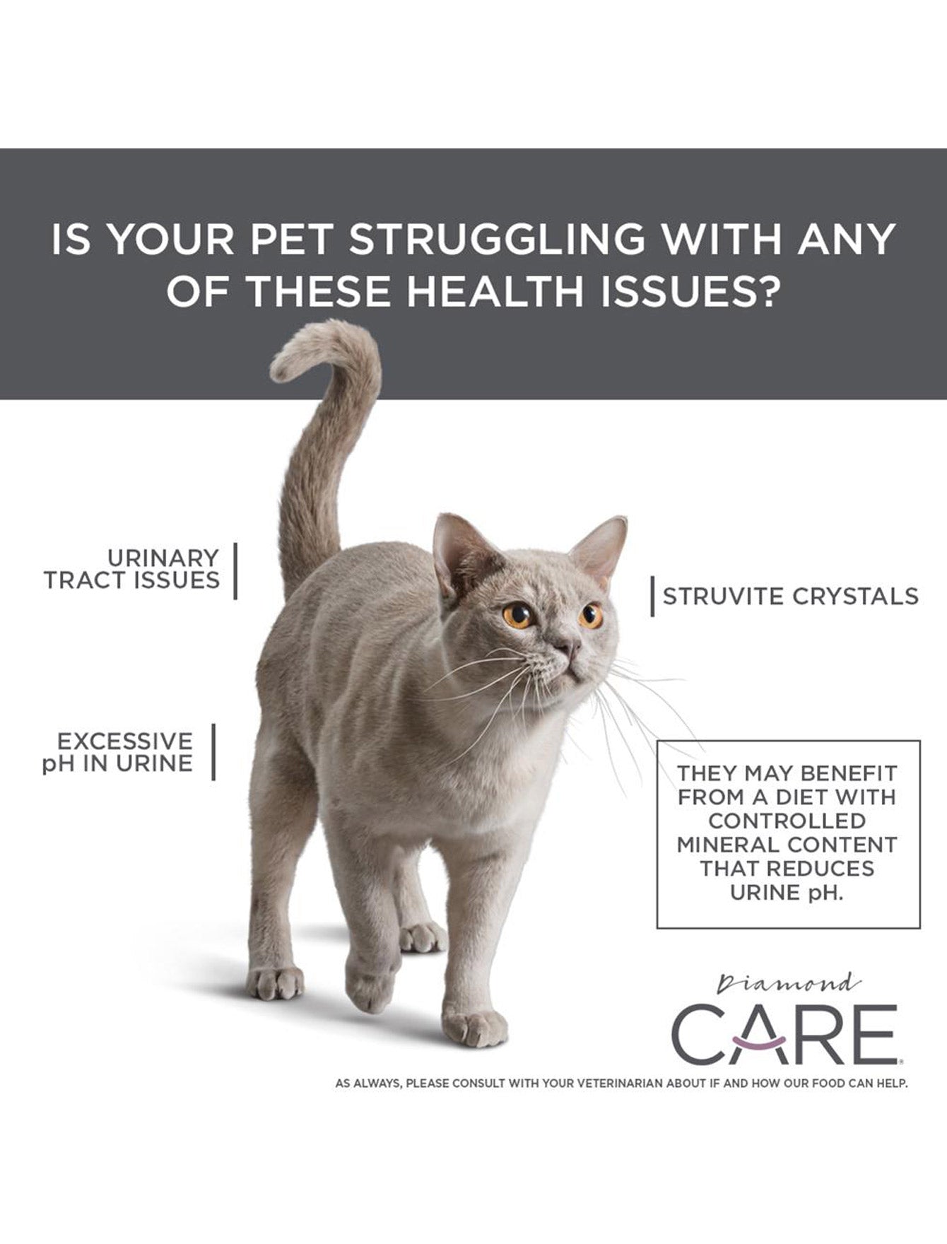 Diamond Care Cat 6lbs Adult Urinary Support Dry Cat Food image 5