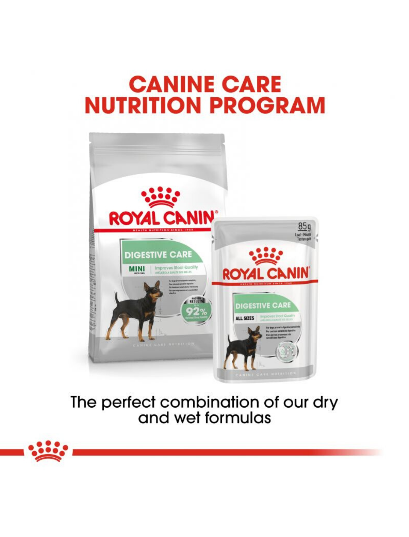 Royal Canin Dog 1kg Mini Digestive Care Dry Dog Food image 3