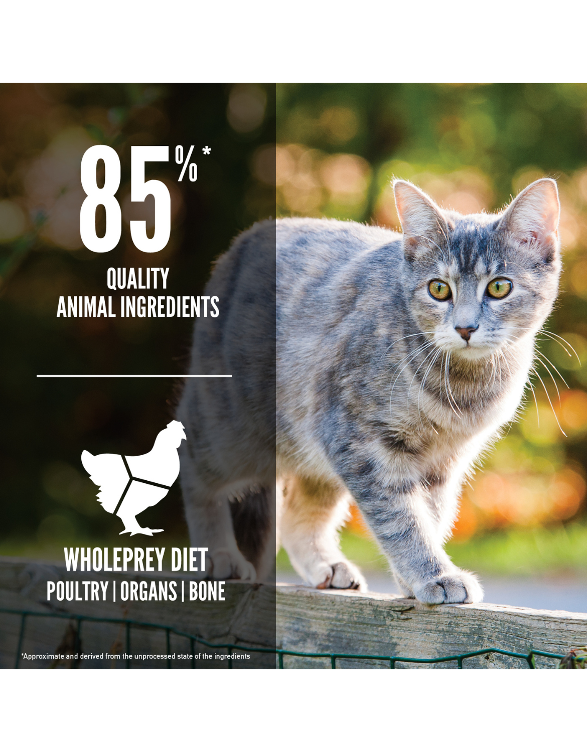 Orijen Cat 340g Original Dry Cat Food image 3