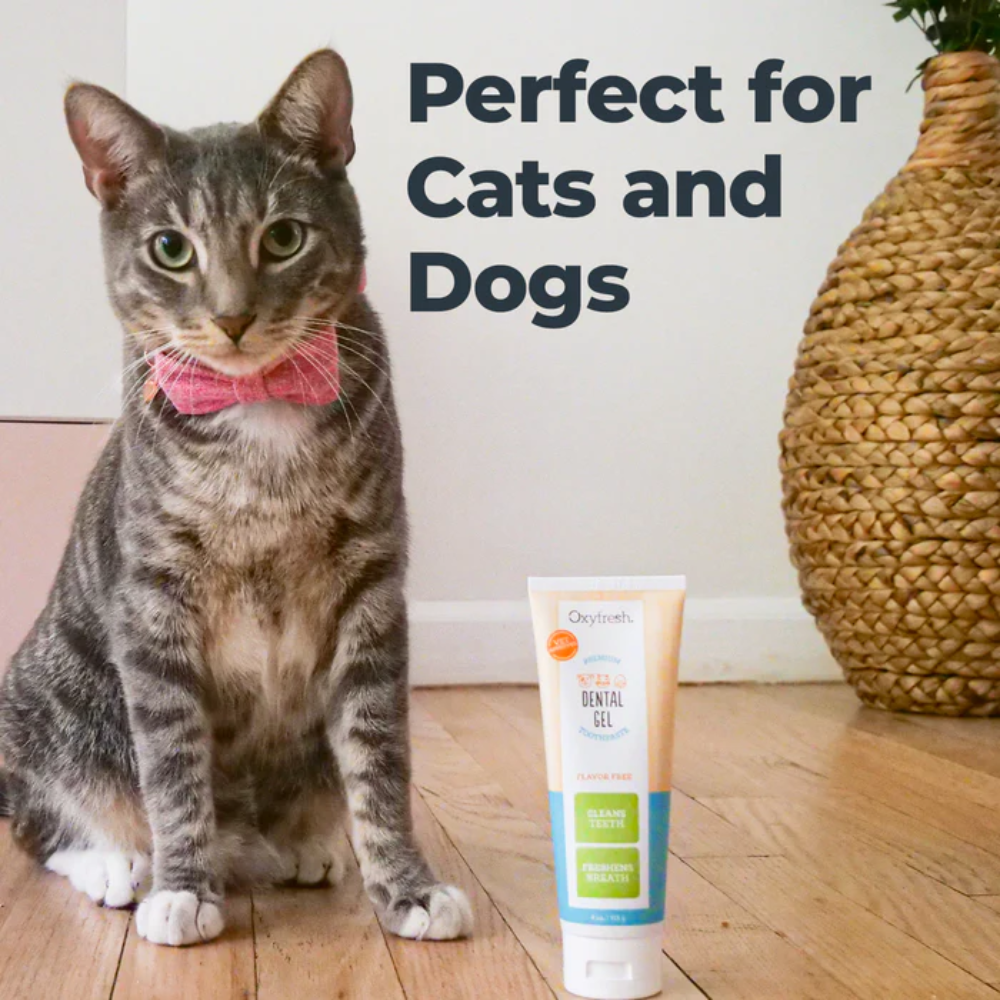 Oxyfresh 113g (4oz) Dental Gel for Dogs & Cats (EXP: 01 May 2027) image 4