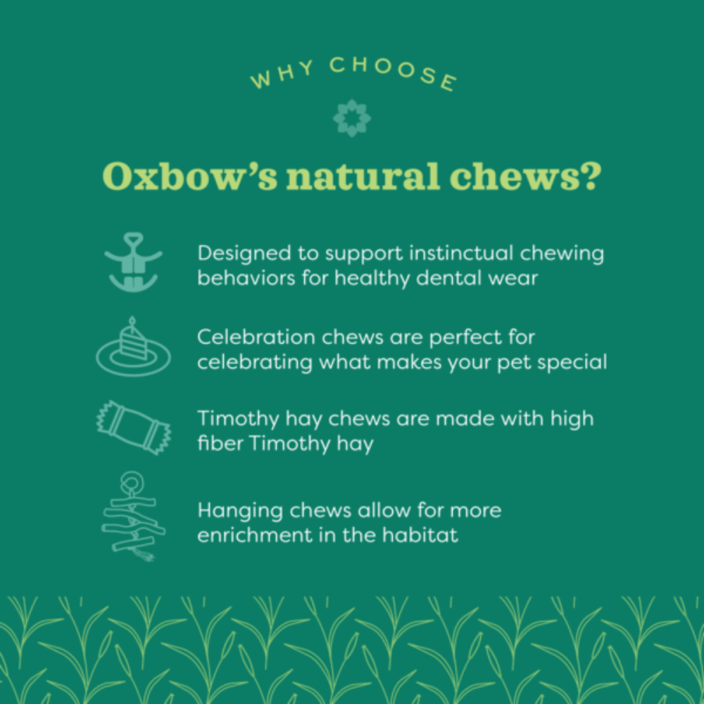 Oxbow Enriched Life Maraca Chew for Rabbits image 2