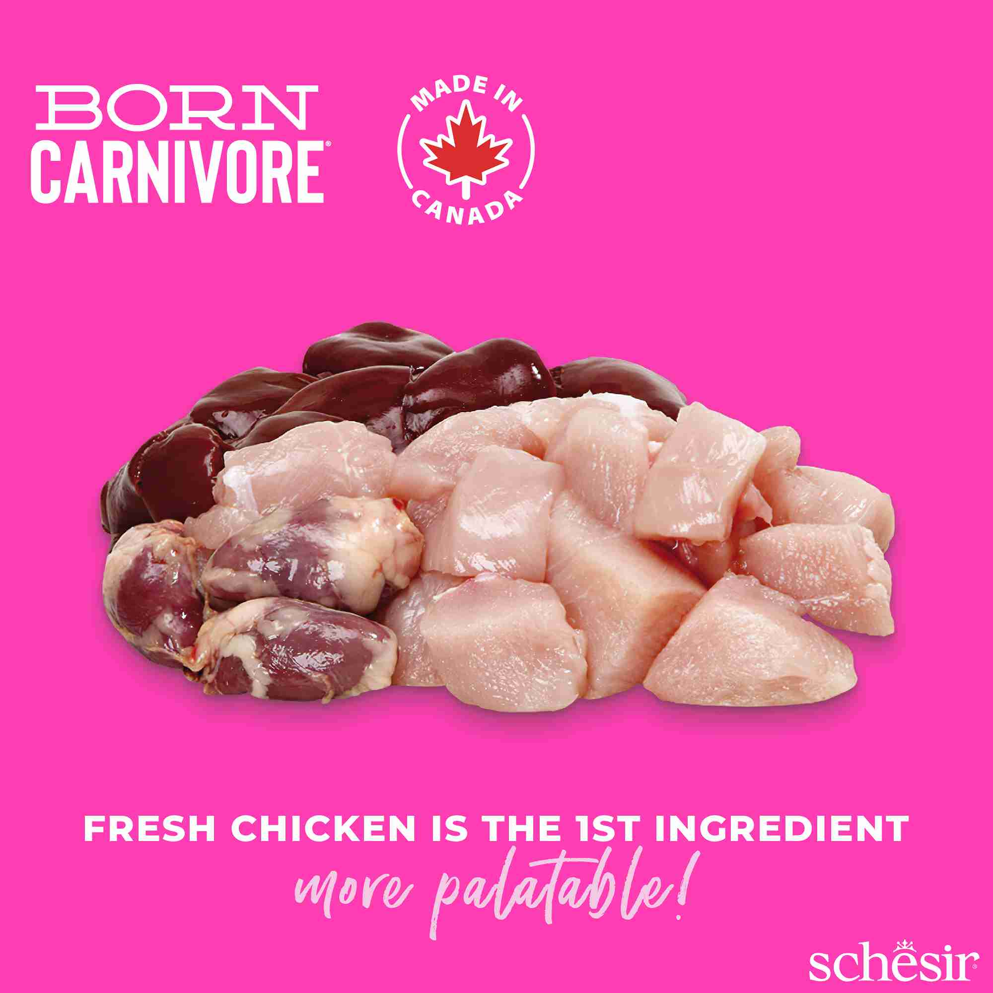 Schesir Cat 1.25kg Born Carnivore Chicken with Egg Baby Cat Baked Dry Recipe Dry Cat Food image 5
