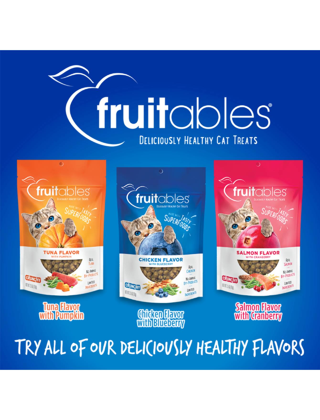 Fruitables Cat 2.5oz Chicken With Blueberry Cat Treat image 4