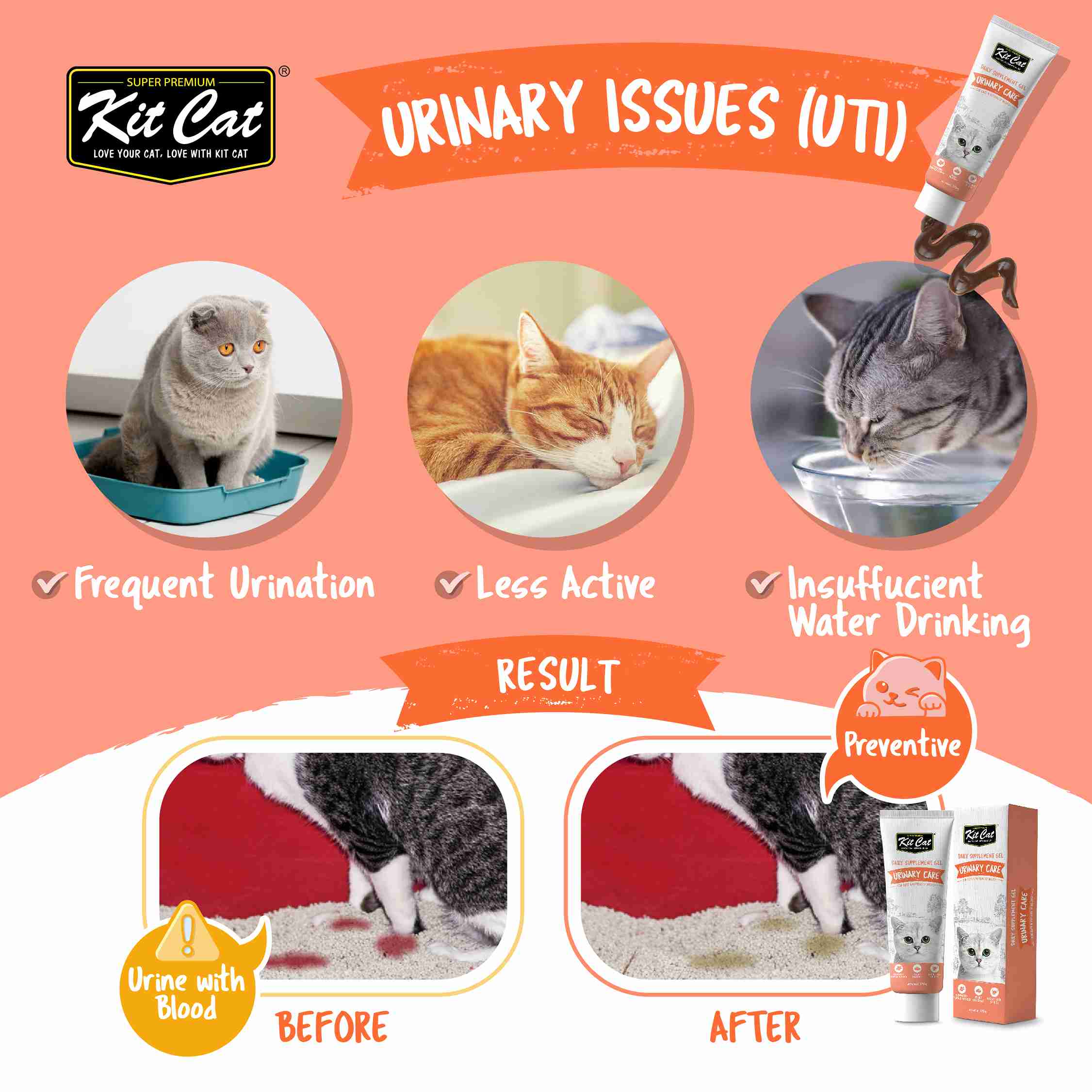Kit Cat 120g Daily Nutritional Supplement Gel Urinary Care For Cats & Kittens image 2
