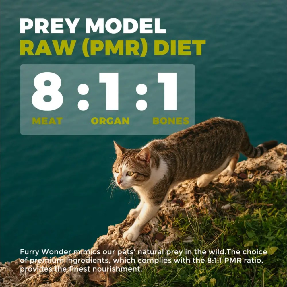 Furry Wonder SENSITIVE DIGESTION Freeze-dried Raw Lamb & Chicken Recipe For Cats 16oz (453g) image 5