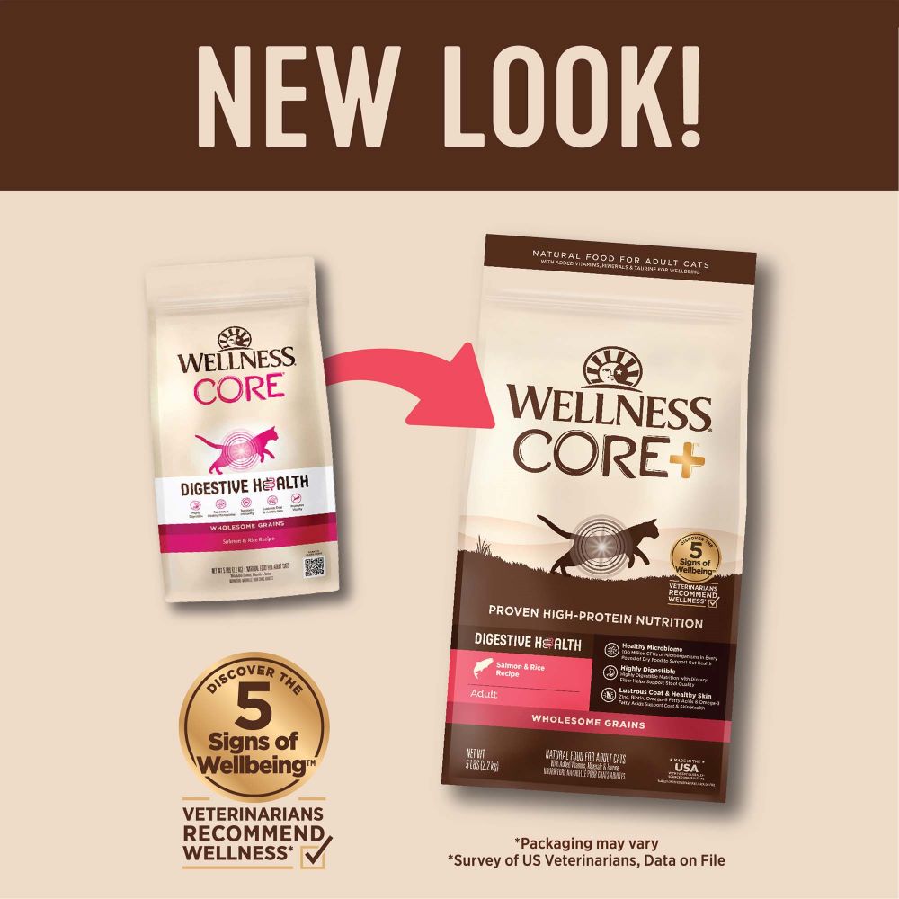 Wellness CORE Cat 4.9kg (11lb) Digestive Health with Wholesome Grains Salmon Recipe Dry Cat Food image 4