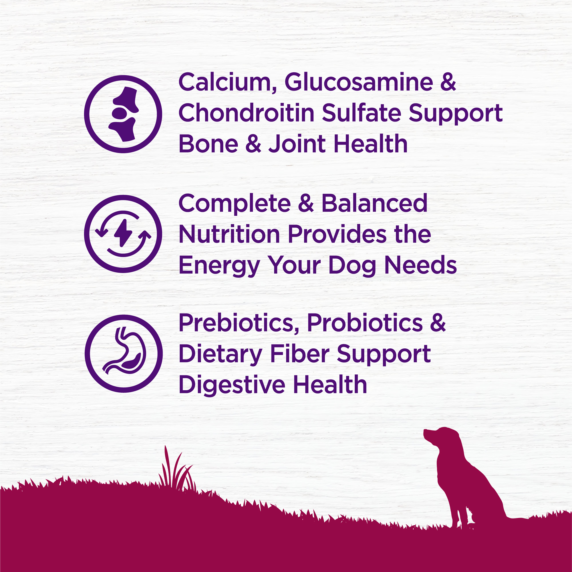 Wellness Complete Health 4lb (1.8kg) Small Breed Senior Deboned Turkey & Peas Dry Dog Food image 3