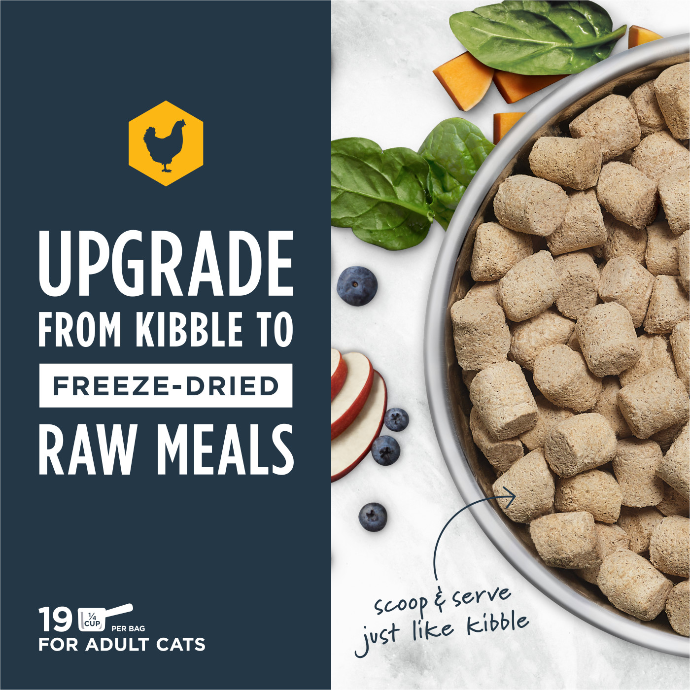 Instinct Freeze Dried Raw Meal Cat 9.5oz Grain Free Cage Free Chicken Recipe Cat Meal image 2