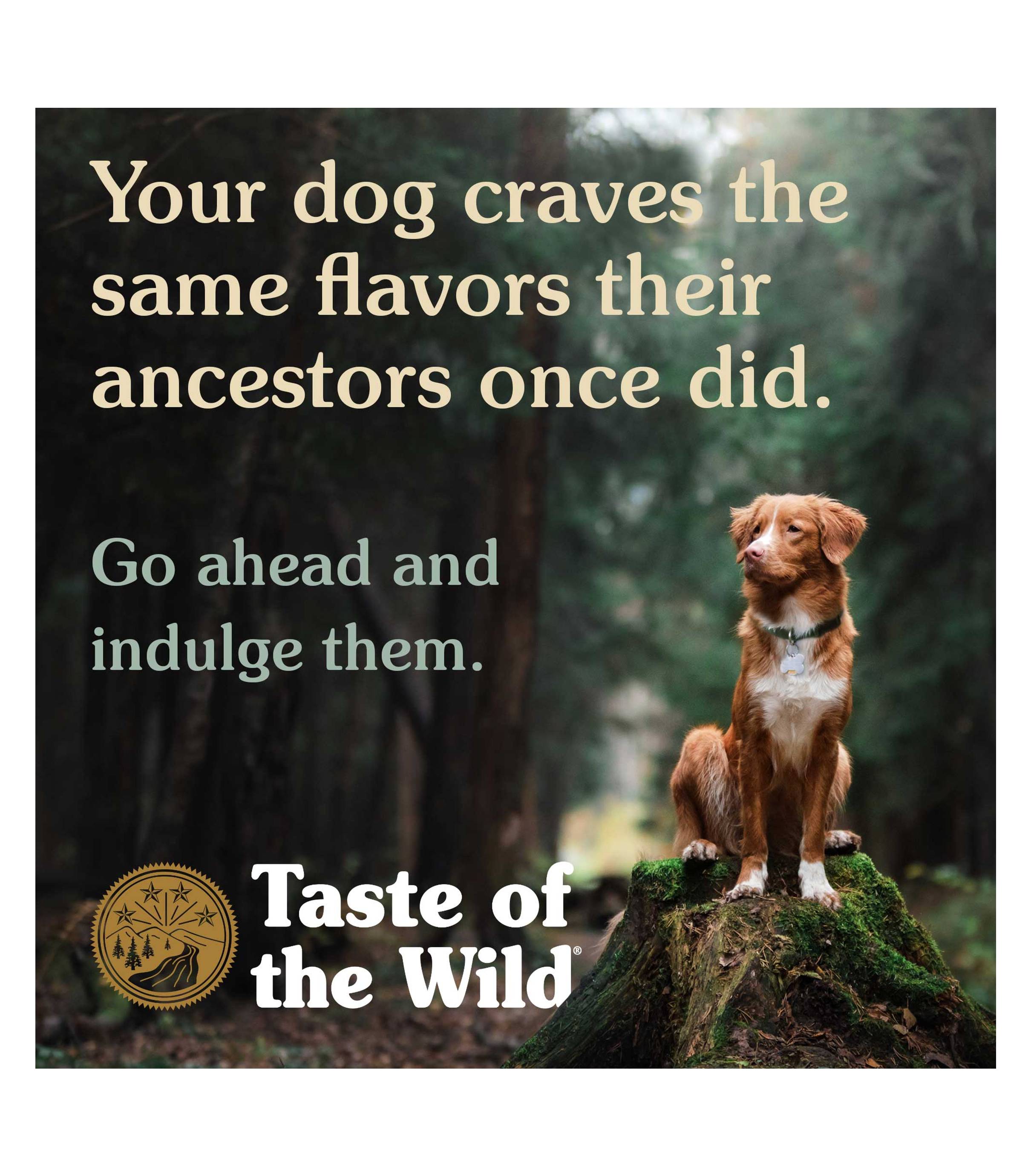 Taste of the Wild Dog 390g Wetlands with Fowl in Gravy Wet Canned Food image 4