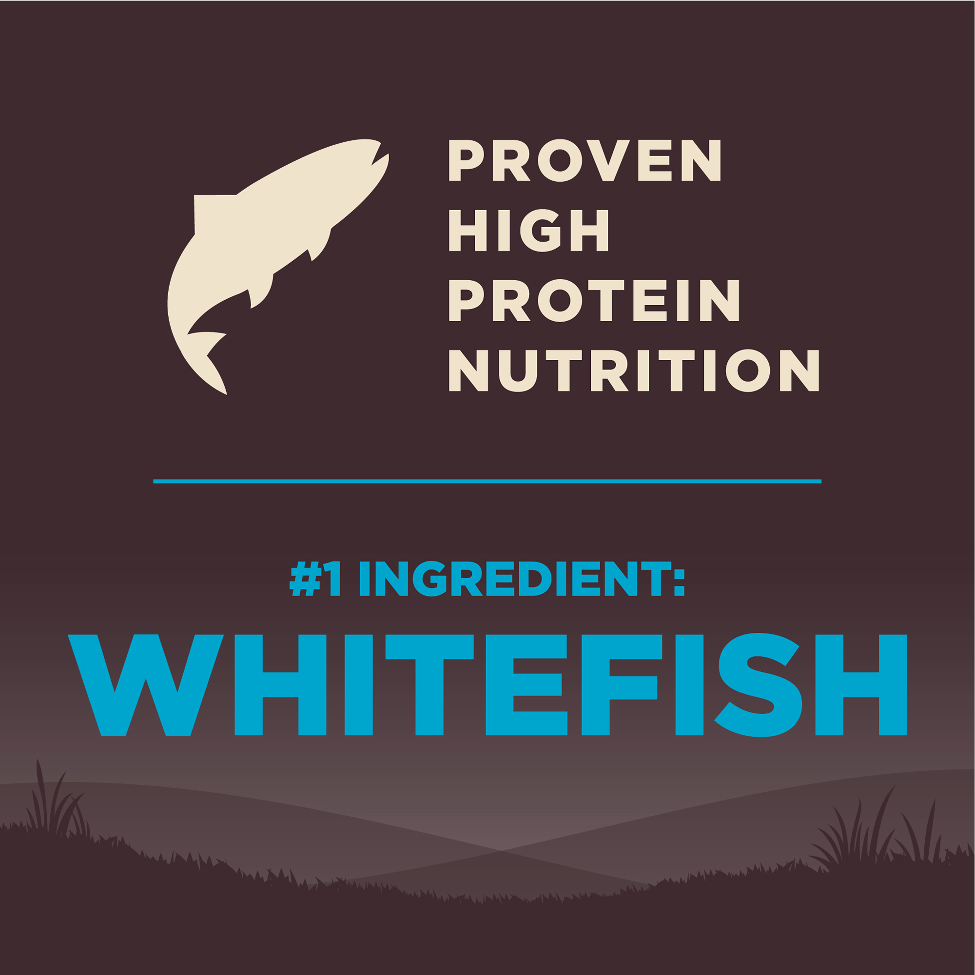 Wellness CORE Dog 10kg (22lb) Ocean Fish Grain Free Dry Dog Food image 6